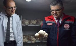 Evinin bodrumunda üretiyor: Değeri bin 200 TL ile 2 bin TL arasında!