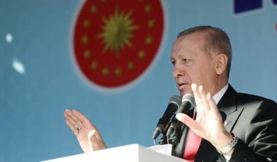 Cumhurbaşkanı Erdoğan: Roman kardeşlerim sandıklarda en güzel cevabı verecek