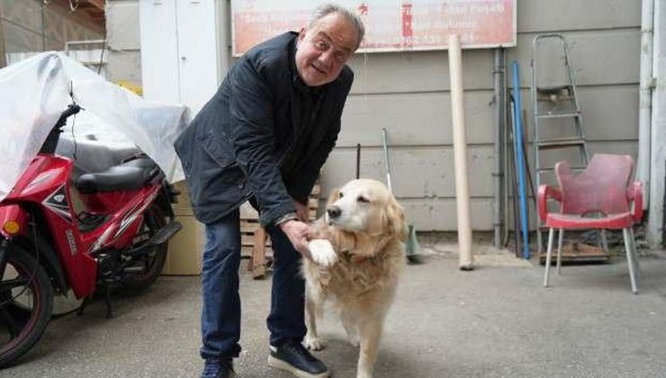 Doktor köpekten korkup düşünce bacağını kırdı! Sahibine 700 bin TL’lik ceza