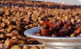 Hurmanın faydaları ve iyi geldiği hastalıklar nelerdir? Yaş hurmanın faydaları!