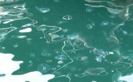 İstanbul Boğazı için tehlike: Sürekli artıyor