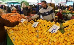 TZOB Başkanı açıkladı: Fiyat farkı yüzde 378’e çıktı