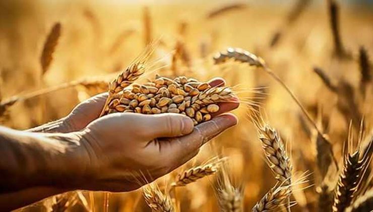 66 milyon euroluk tarım hibesi için ilk başvurular başlıyor