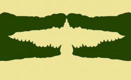 Bu optik illüzyonlu kişilik testinde ilk gördüğünüz şey doğuştan lider olup olmadığınızı ortaya çıkaracak