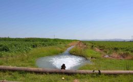 Dicle Elektrikten tarımsal sulama abonelerine borç uyarısı!