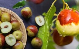 Taze ve kuru hünnap faydaları nelerdir? Hünnap meyvesi nerede yetişir?