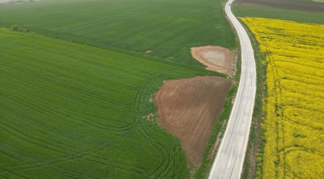 Trakya’da etkili olan yağışlar buğday ve kanola üreticisini ümitlendirdi
