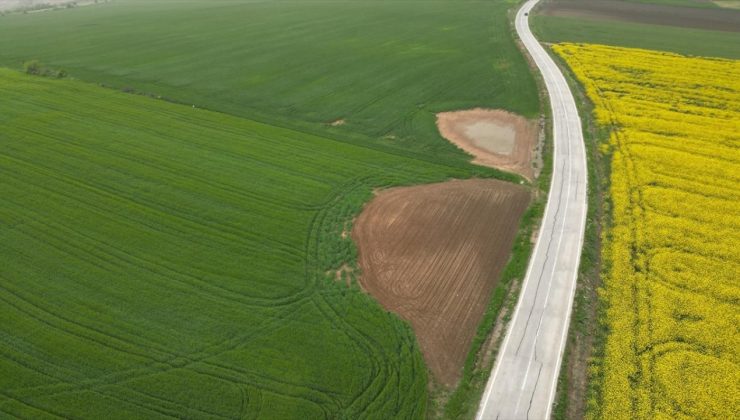 Trakya’da etkili olan yağışlar buğday ve kanola üreticisini ümitlendirdi