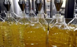 TZOB Genel Başkanı Bayraktar: Ayçiçeğine yönelik destekler yükseltilmeli