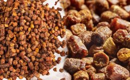 Arı ekmeği faydaları ve zararları nelerdir? Arı ekmeği nedir, nasıl tüketilir?