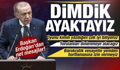 Cumhurbaşkanı Erdoğan: Dimdik, sapasağlam ayaktayız!