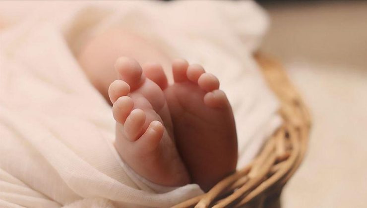 Doğurganlık hızı düşüşü, emeklilik sisteminde yükü artıracak