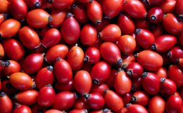 Kuşburnu faydaları nelerdir? Kuşburnu çayı ve marmelatı nasıl yapılır?