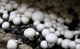 Tarımsal kredilerle ilgili önemli değişiklik