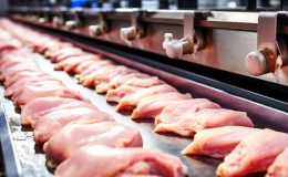 Tavuk fiyatları yüzde 200 arttı! Bakanlık harekete geçti! İşte zammın sebebi