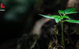 TCL’in 2023 ÇSY Raporu yayımlandı!