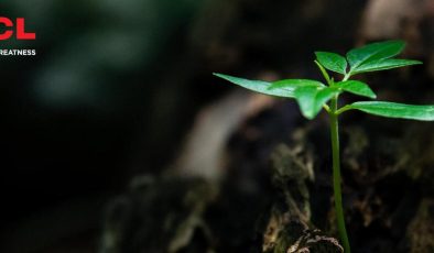 TCL’in 2023 ÇSY Raporu yayımlandı!