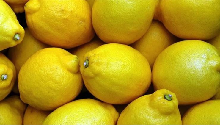 Yasaklı madde tespit edilen limonlarla ilgili soruşturma başlatıldı