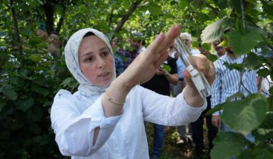 14 bin ‘samuray arısı’ doğaya salındı