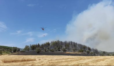 Beş ilimizde orman yangını! Ekipler havadan ve karadan müdahale ediliyor
