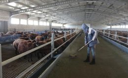 Erzurum’da tarım ve kırsal kalkınma destekleriyle 1820 kişiye istihdam sağlandı