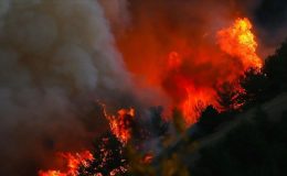 Haziran ayında orman yangınları geçen yıla göre yaklaşık 5 kat arttı