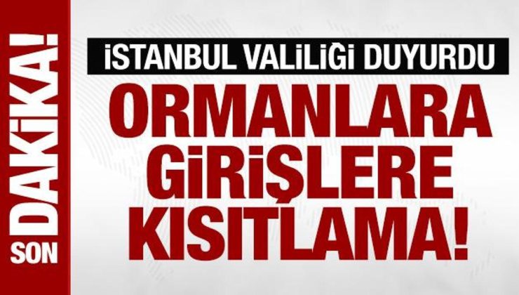 İstanbul Valiliğinden ormanlara girişlere kısıtlama kararı