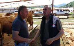 Kurban pazarlarında sıkı pazarlıklar başladı