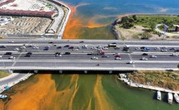 Marmara Denizi’nde ‘Red-tide’ görüldü!