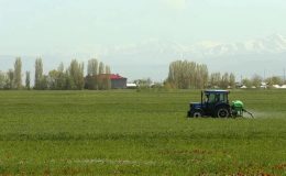 TZOB Genel Başkanı Bayraktar: Türkiye’nin toplam arazi miktarı geriledi