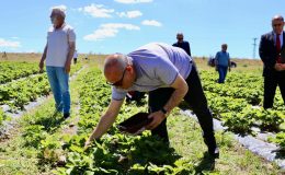 ‘Yetişmez’ denilen yerde 400 tonluk üretim! 16 milyon lira kazandı