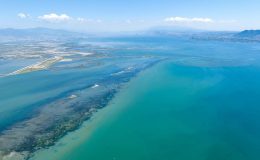 Akdeniz alarm veriyor!  deniz suyu için tehlike uyarısı!