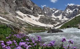 Anadolu’nun en eski tanığı yok olma tehlikesiyle karşı karşıya