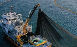 Artan avlanma süreleri balıkçılığı sürdürülebilirlikten uzaklaştırıyor